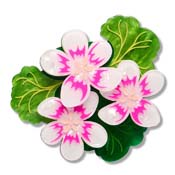 Austral Stork's-Bill Brooch By Erstwilder