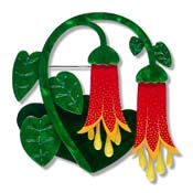 Common Correa Brooch By Erstwilder