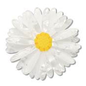 Cut-leaf Daisy Large Hair Clip By Erstwilder - SOLD OUT!