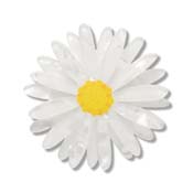 Cut-leaf Daisy Simplified Mini Brooch By Erstwilder