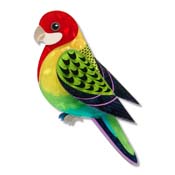 Eastern Rosella Brooch By Erstwilder