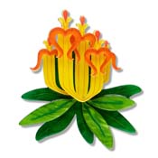 Long-flower Mistletoe Brooch By Erstwilder