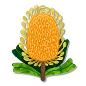 Mountain Banksia Brooch By Erstwilder