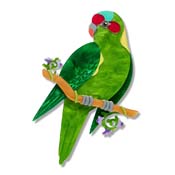 Musk Lorikeet Brooch By Erstwilder