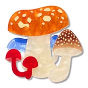 Native Mushroom Medley Brooch By Erstwilder