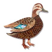 Pacific Black Duck Brooch By Erstwilder - SOLD OUT!